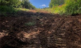 N3953-89 Bear Pen Road, Arkansaw, WI 54721