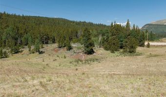 374 High River Ct Lot 4, Alma, CO 80420