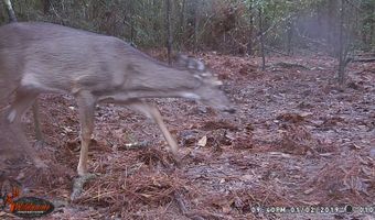 Lower Bay Road, Bay St. Louis, MS 39520