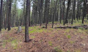 19 Black Lake Ter, Angel Fire, NM 87710