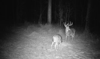 425 Rose Hill Rd, Bentonia, MS 39040