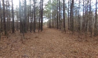 6608 Sand Valley Rd, Attalla, AL 35954