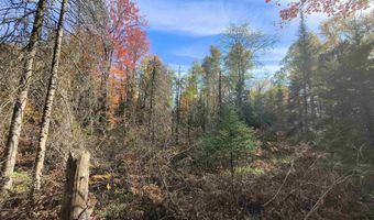 TBD 5.5ac Fishing Site 1, Amasa, MI 49903