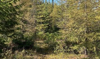 Tract 6 USFS 2294, Clark Fork, ID 83811