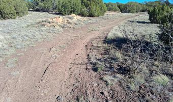 22 N 8171, Concho, AZ 85924