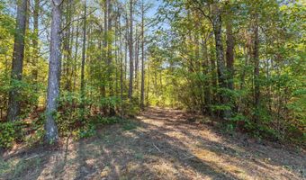 42 County Highway 79, Bear Creek, AL 35581