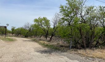 Hwy 6, Albany, TX 76424