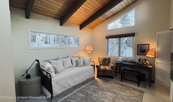 302 Roaring Fork Dr, Aspen, CO 81611