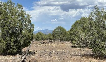 76 N Cattle Dr, Ash Fork, AZ 86320