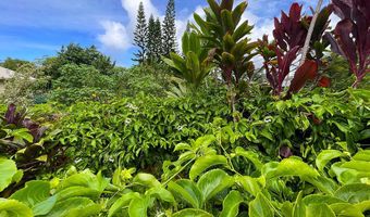 15-1487 15TH Ave, Keaau, HI 96749