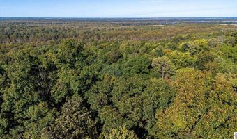 000 County Road 1320 BETWEEN COUNTY ROADS 1324 AND 1320, Bardwell, KY 42023