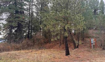 111 Cabarton Rd, Cascade, ID 83611