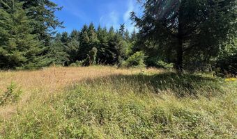 20452 WHALESHEAD Rd, Brookings, OR 97415