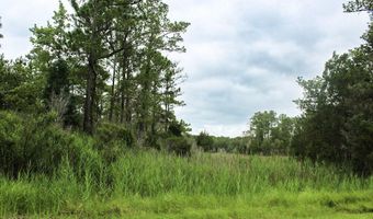 0 Whealton Point Rd, Aurora, NC 27806