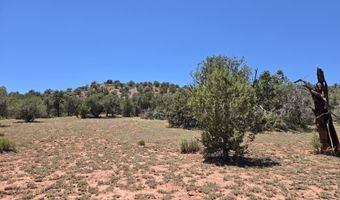 236 W Kings Ranch Rd, Ash Fork, AZ 86320