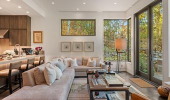 155 Lone Pine Rd 12, Aspen, CO 81611