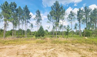 906 Lockett Station Rd, Albany, GA 31721
