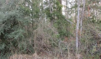 Tbd Wood County Road 2958, Alba, TX 75410