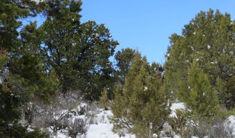 Tbd 117 County Road, Glenwood Springs, CO 81601