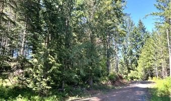 Tunnel Tract Parcel1, Banks, OR 97106