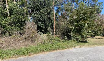 Jones Circle, Bishopville, SC 29010