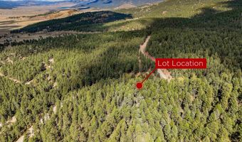 Back Basin Rd lot 145, Angel Fire, NM 87710