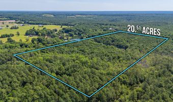 20 Acres Canyon Trl, Baker, FL 32531