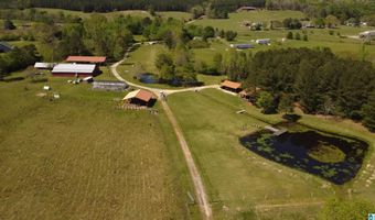 4820 COUNTY ROAD 22, Ashville, AL 35953