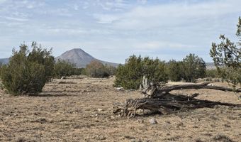 245 Antelope Run Rd, Ash Fork, AZ 86320