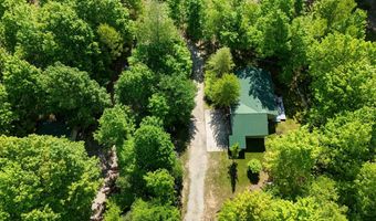 8134 NW Ruttan Rd, Alden, MI 49612