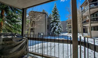 1105 Ski Hill Rd 69, Breckenridge, CO 80424