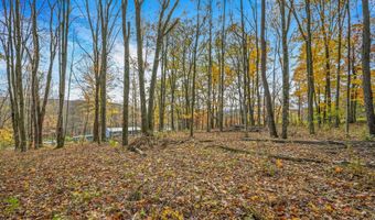 419 Algerine St, Afton, NY 13730