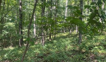 2049 Henry Scott Rd-LOT C 2.3 Acres, Ball Ground, GA 30107