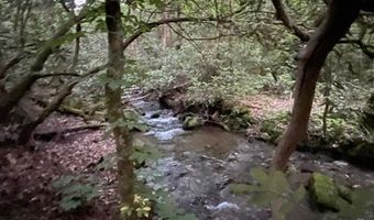 000 Chestnut Oaks, Andrews, NC 28901