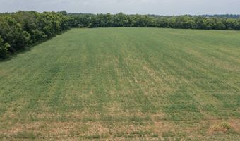 281 Steve Wood Rd, Bagdad, KY 40003