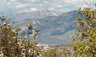 MARTEN Place, Alpine, WY 83128