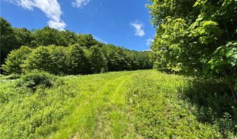 2613 Murphy Hill Rd, Andes, NY 13731