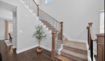 1037 Kennedy Dr, Allen, TX 75013
