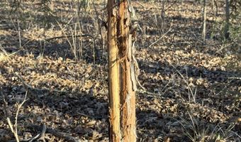 6075 Curtis Rd, Batesville, MS 38606