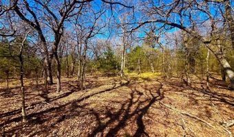 Tbd 13.7+/- Acres County Road 2560, Alvord, TX 76225