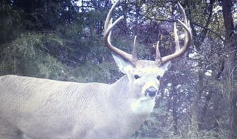 28146 382nd Ave, Armour, SD 57313
