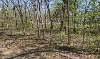 County Road 1687, Alba, TX 75410