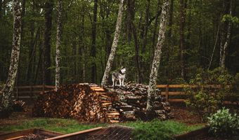 701 Ridgetop Rd, Bastian, VA 24314