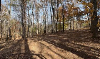 9- A Dulwich Dr, Amherst, VA 24521