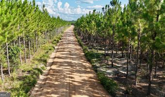 TRACT 7 Penny Morris Road, Baxley, GA 31513