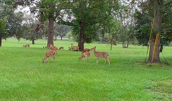 BRAHMAN TRAIL, Angleton, TX 77515