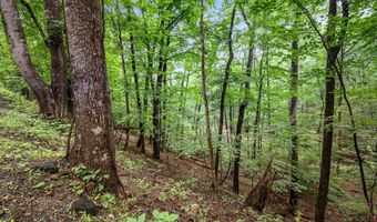 VALLEY VIEW ROAD, Basye, VA 22810