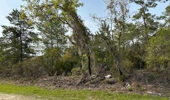 11850 NE 108 St, Archer, FL 32608