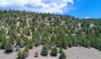 24351 Co Rd 54.2, Aguilar, CO 81020