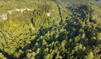 9999 Deer Track Rd, Beattyville, KY 41311